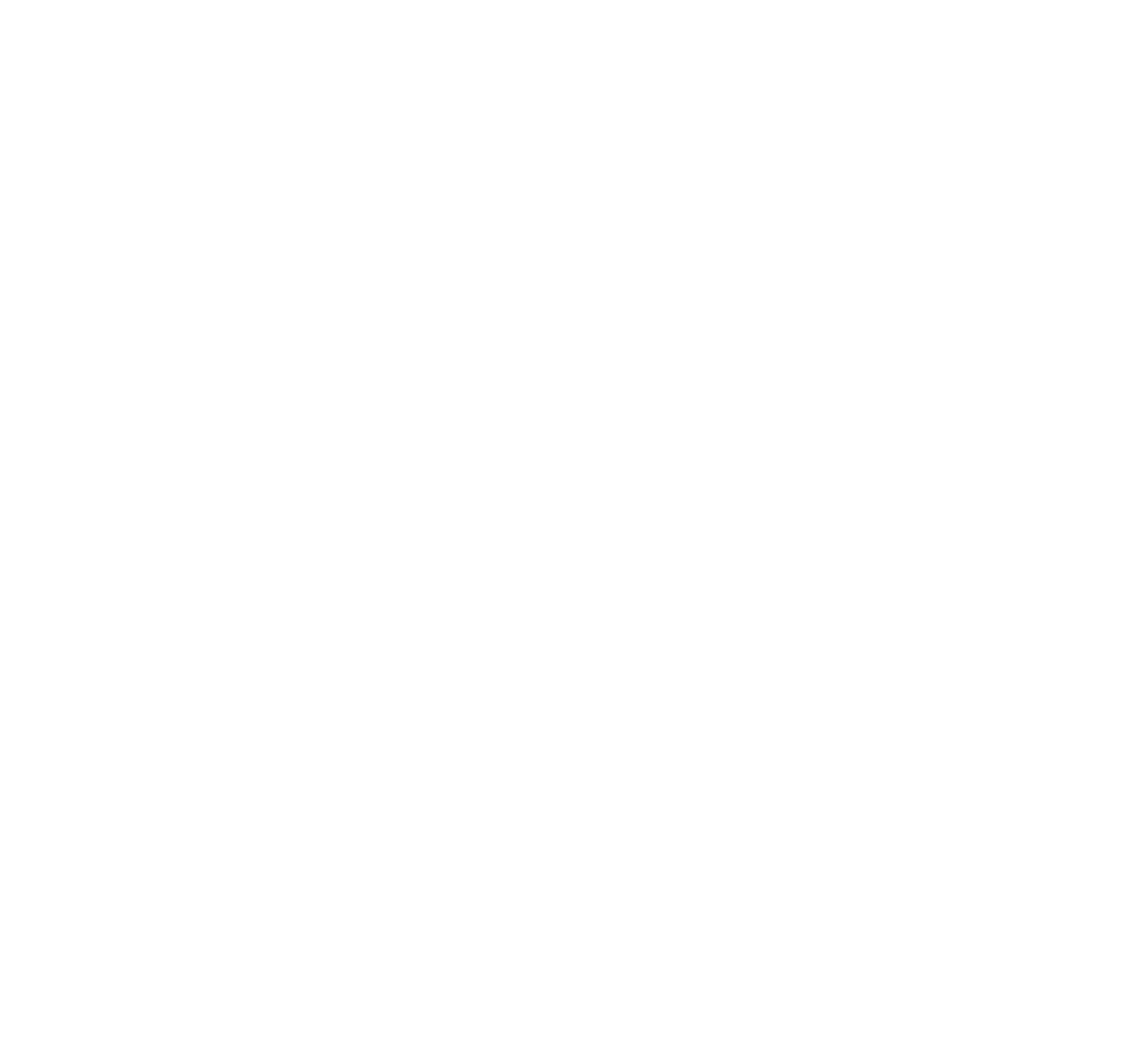 Community Health Partners